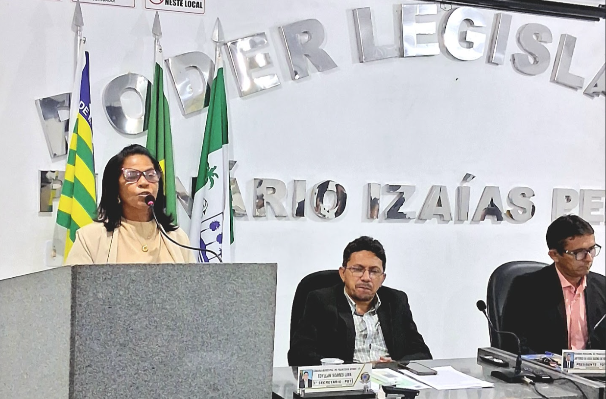 Câmara de Francisco Ayres realiza últimas sessões ordinárias do semestre com pautas relevantes para a comunidade